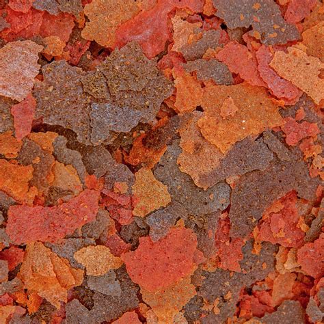 Ocean Nutrition Brine Shrimp Plus Flakes – indianaquarium.com