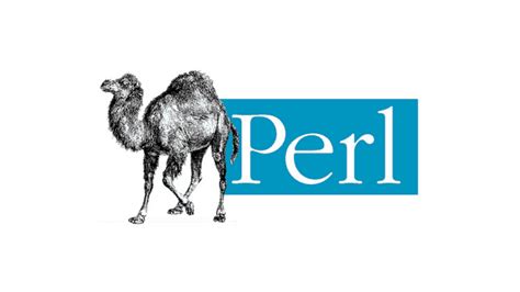 Image result for Perl Programming Languages HD Images