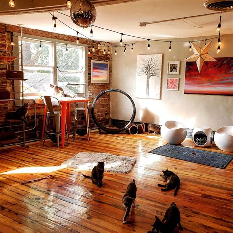 Best Charlotte Coffee Shops When You Have Kids in Tow - Charlotte Parent