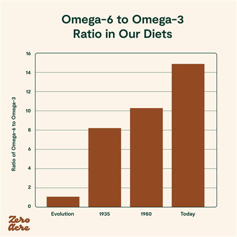 What Are High Omega 6 Cooking Oils at Christopher Etheridge blog