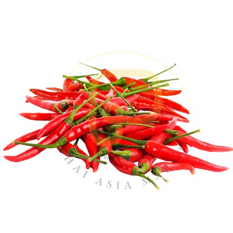 Fresh Thai Red Chili 100 g พริกแดงสด 📍 ️ Kühlschrankwaren – prapaipat