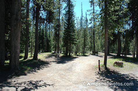 Image result for Mazama Mathale