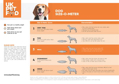 Puppy Weight Chart