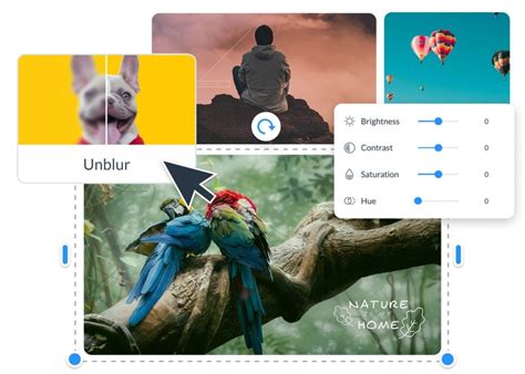PNG to JPG Converter: Online Image Converter | Visme