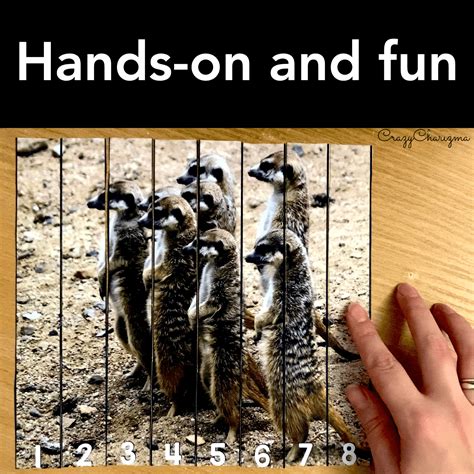 Image result for Number Sequence Puzzles