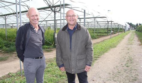Dans le Morbihan, des coachs aident des schizophrènes, des bipolaires ...