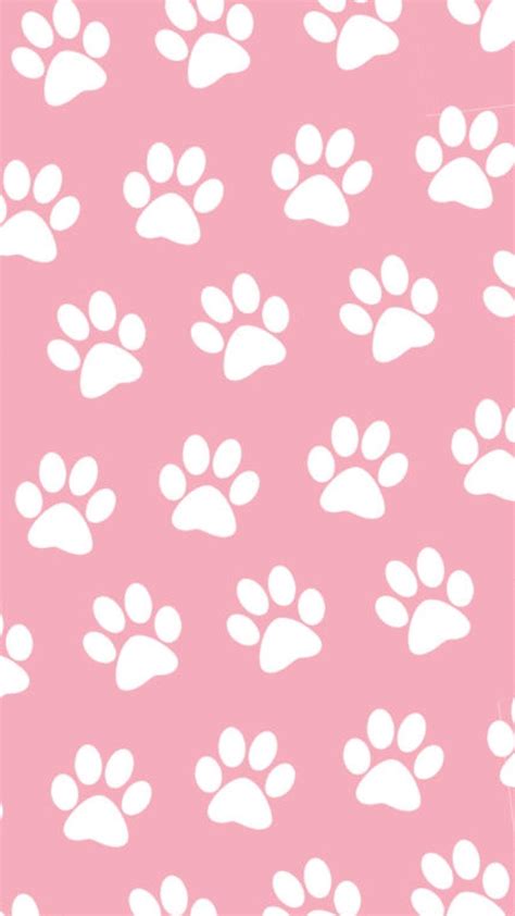 Dog Paw Wallpapers - Top Free Dog Paw Backgrounds - WallpaperAccess