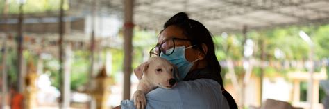 Brutality Beyond the Beauty: Borneo's Secretive Dog Meat Trade - FOUR ...