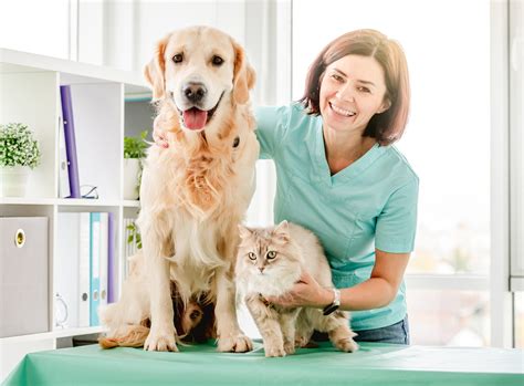 The role of women veterinarians in shaping the future of the profession - Veterinary Practice