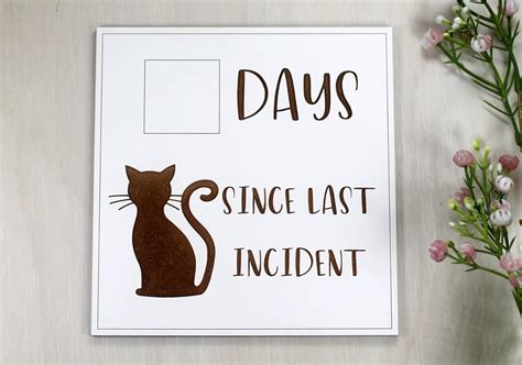 Amazon.com: Funny Whiteboard Sign, Days Since Last Incident (Cat ...