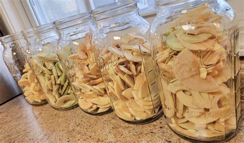 How To Freeze Dry Apples and Our 3 Favorite Varieties - Finding Faith's Future