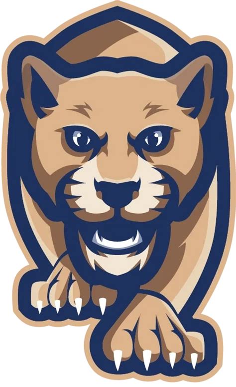 Stars on the Rise Sports