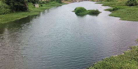 BrightNight Commissions 115 MW Hybrid Power Project in Maharashtra