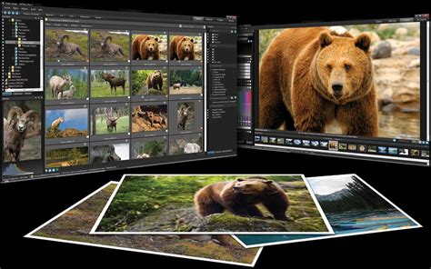 Acdsee Photo Manager 12 Free Download Full Version - MGP Animation