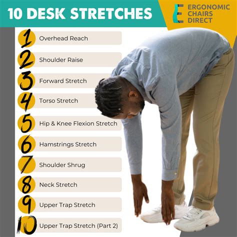 10 Best Desk Stretches you can do in the Office | ECD
