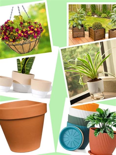 Image result for Types of Plant Containers