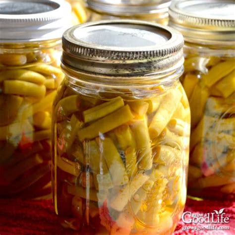 Canning String Beans Recipe 的图像结果