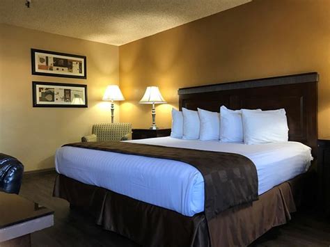 Nice hotel with exorbitant pet fees - Review of Empire Inn, San ...
