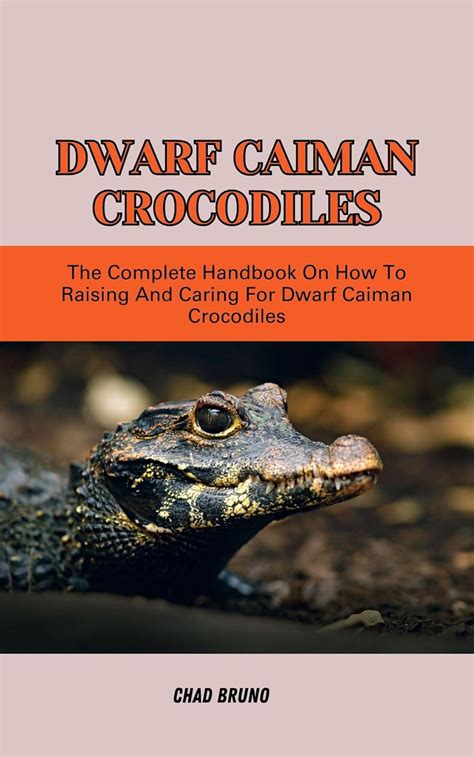 DWARF CAIMAN CROCODILES: The Complete Handbook On How To Raising And ...