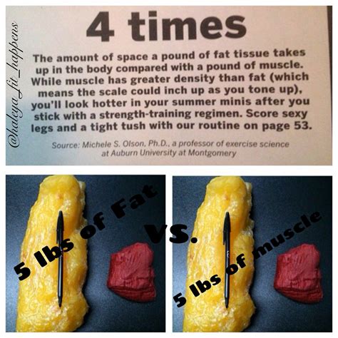 6 Lbs 5 Oz To Lbs - Design Talk