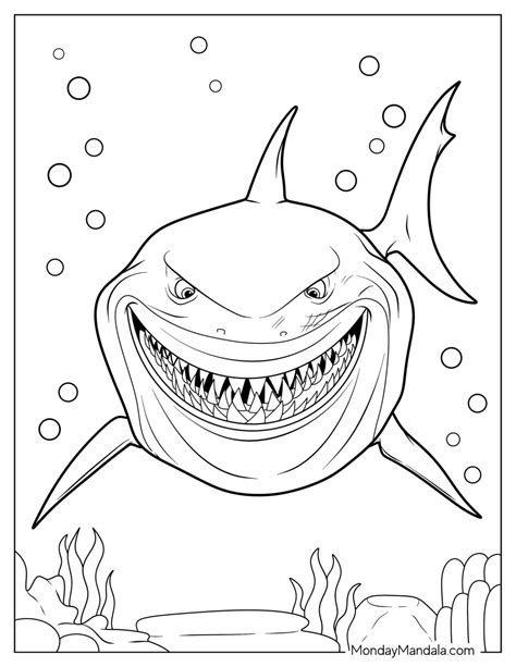 Sharks coloring pages – Artofit