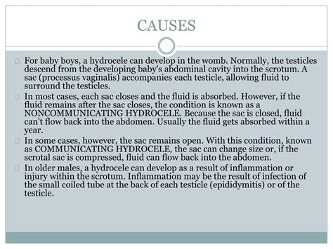 Hydrocele | PPTX - fluid in testicles