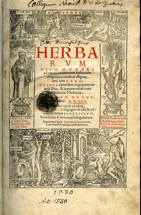 UMass Amherst W.E.B. Du Bois Library, SCUA Virtual exhibits