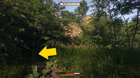 KCD 2: Map of the Zhelejov Marshes location and solution | VG247