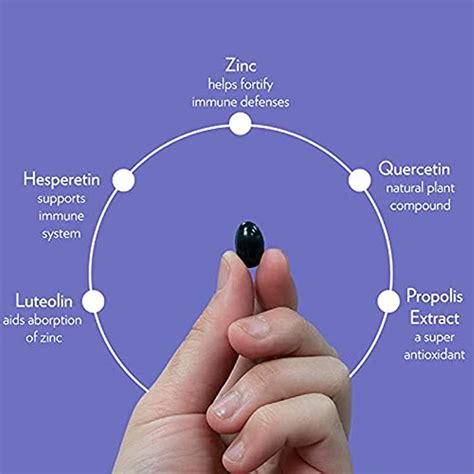 Buy Quicksilver Scientific Immune Charge+ Zinc Ionophore - Zinc ...