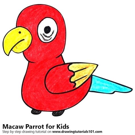 Image result for Simple Parrot Cartoon Drawing