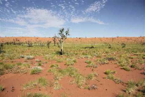 12. Great Sandy Desert - 360.000 km² - TheBiteTour