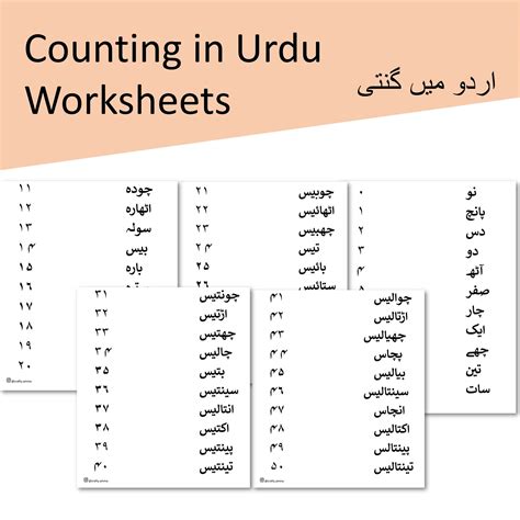 Urdu Matching Numbers Worksheet for Kids - Etsy Finland