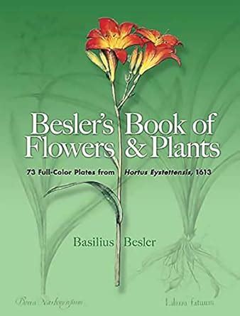 Besler's Book of Flowers and Plants: 73 Full-Color Plates from Hortus ...