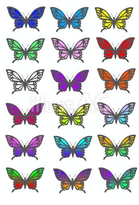 Image result for Flutter Webview Source Code