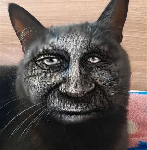 cat 4 explained
