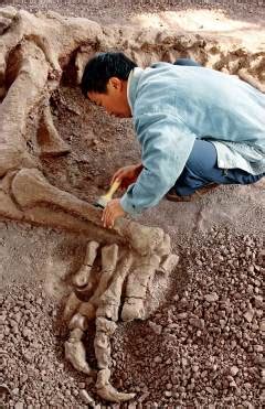 2002年4月25日中国发现世界最早有胎盘类哺乳动物化石 - 神秘的地球 科学|自然|地理|探索