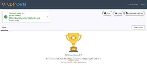 Image result for Open Verify File
