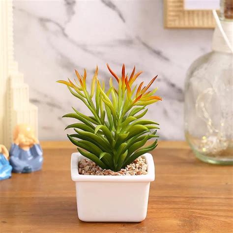 Elegant Succulents Artificial Plant with Ceramic Pot | 6 inches – Dusaan