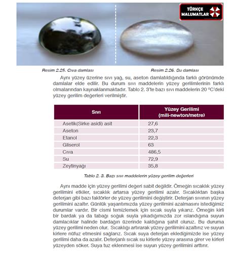 Fizik: Yüzey Gerilimi Nedir? | Türkçe Malumatlar