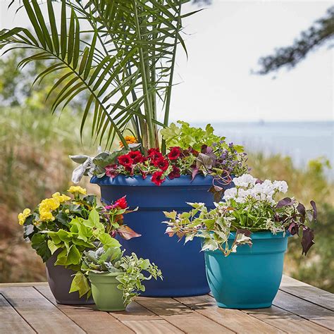Bloem Ariana Plastic Flower Planter with Self-Watering Disk