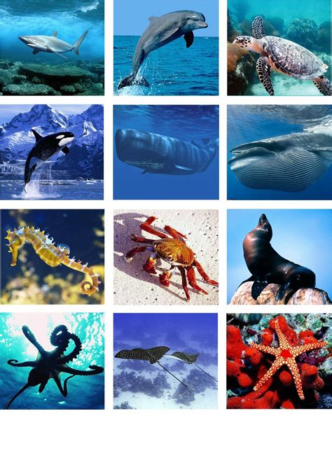 Image result for Android Developer Portfolio