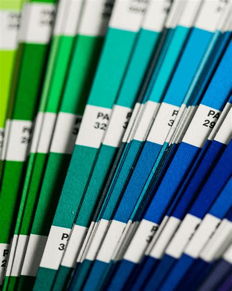 Colour Type 的图像结果