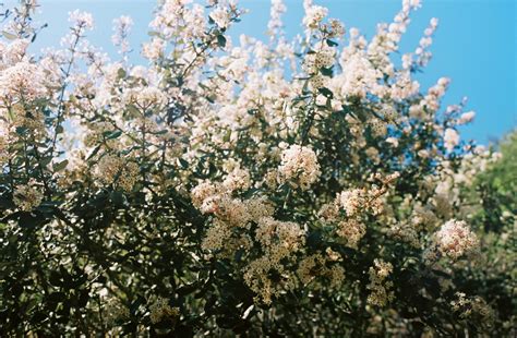 Dark Canyon Trailhead to Mount Pickens | Modern Hiker