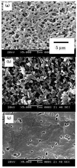 Development of Hydrogen-Permselective Porous Membranes Using Radiation ...