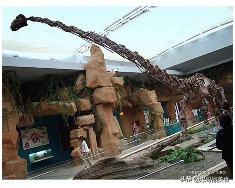 贵州龙博物馆，黔西南州的“恐龙”级遗存