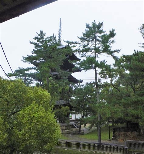 DAIBUTSUKAN (Nara) - Ryokan Reviews & Photos - Tripadvisor