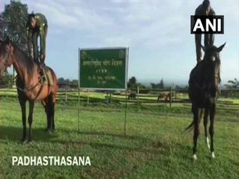 International Yoga Day: ITBP personnel perform yoga with horses