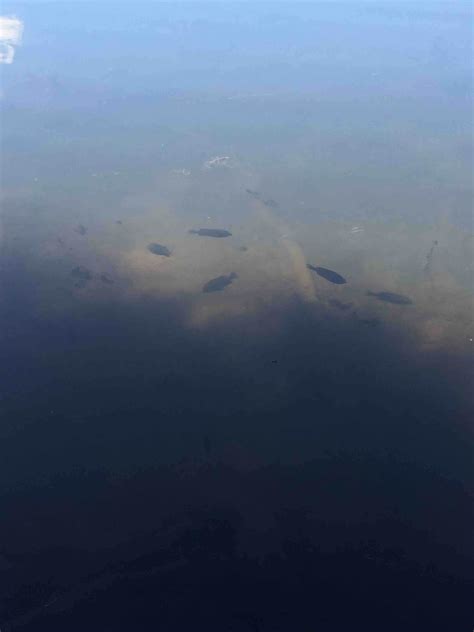 Lake Selmac County Park Camping | Selma, OR