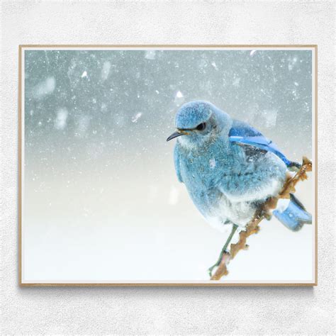 Mountain Bluebird Print | Idaho State Bird | Bluebird Art | Blue Bird ...
