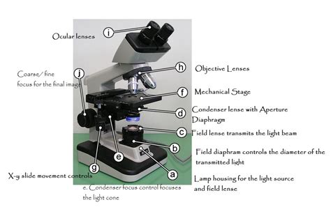 Image result for Condenser Microscope Function